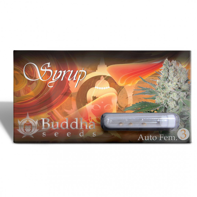 Buddha Syrup Auto