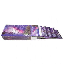 Buddha Purple Kush Auto