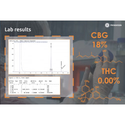 Seminte Canepa - Panakeia CBG - Sativa L Industrial