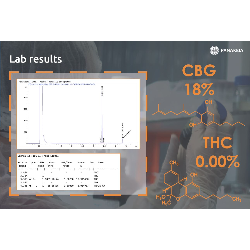 Seminte Canepa - Panakeia CBG - Sativa L Industrial