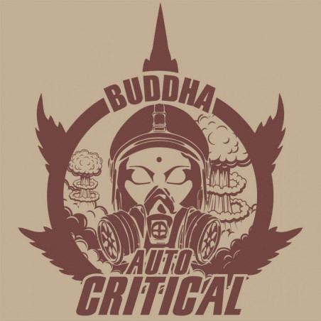 Buddha Critical Auto